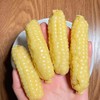 西双版纳 拇指玉米 甜糯 26.8/件 500g 糯叽叽的，甜丝丝的 Q弹无渣 商品缩略图5