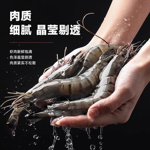马来西亚进口黑虎虾400±50g 商品图4