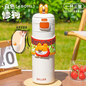 迪乐修够保温杯D9231-480ml