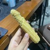 西双版纳 拇指玉米 甜糯 26.8/件 500g 糯叽叽的，甜丝丝的 Q弹无渣 商品缩略图7