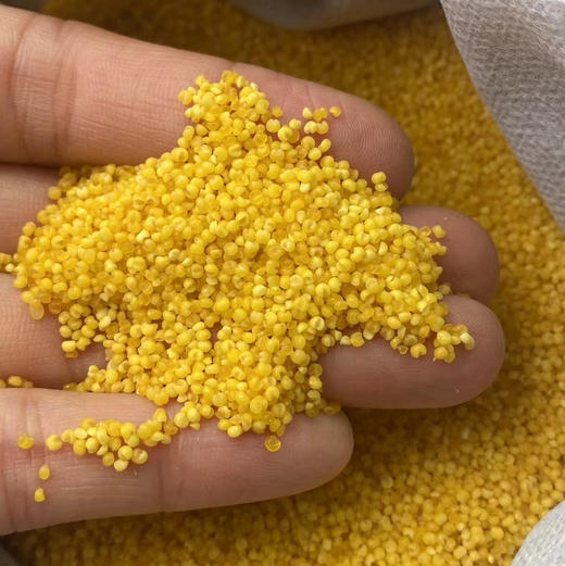 正宗农家小米 商品图1