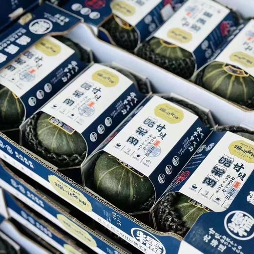 酷栗南贝贝南瓜🎃（8只） 商品图0