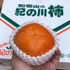 【预定】日本和歌山黑柿 商品缩略图4