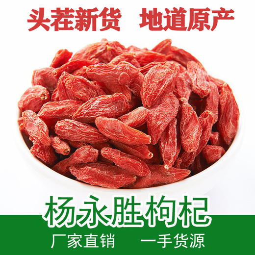 厂家直发 新货枸杞子500g宁夏特级免洗大粒苟杞不染色红勾杞中宁构杞子枸 商品图0