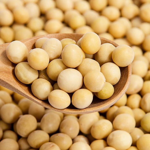 有机杂粮/豆类  欧盟&美国双有机认证 商品图1