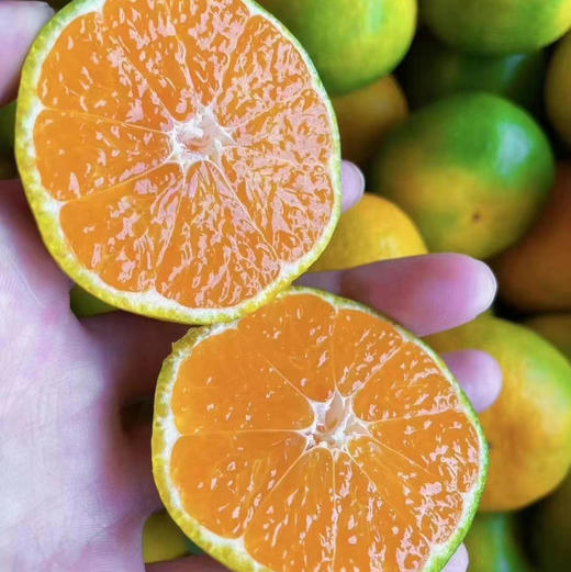 秋天的滋味，高山红土蜜桔🍊每次回味的果香都让人沉醉，悄悄地把秋日都融化在其中。不单送。 商品图2