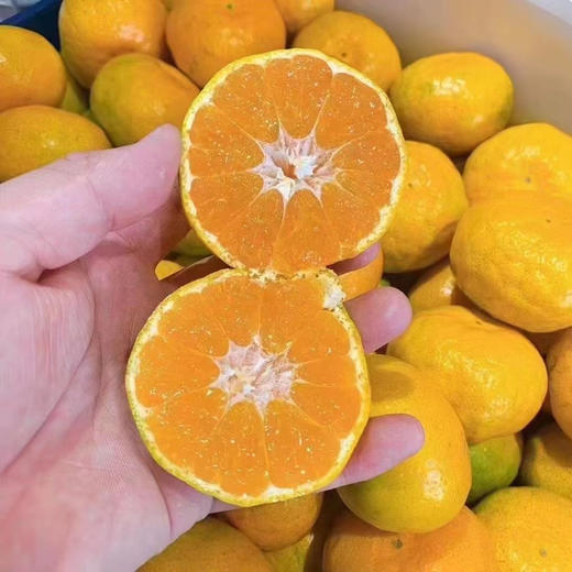 秋天的滋味，高山红土蜜桔🍊每次回味的果香都让人沉醉，悄悄地把秋日都融化在其中。不单送。 商品图9