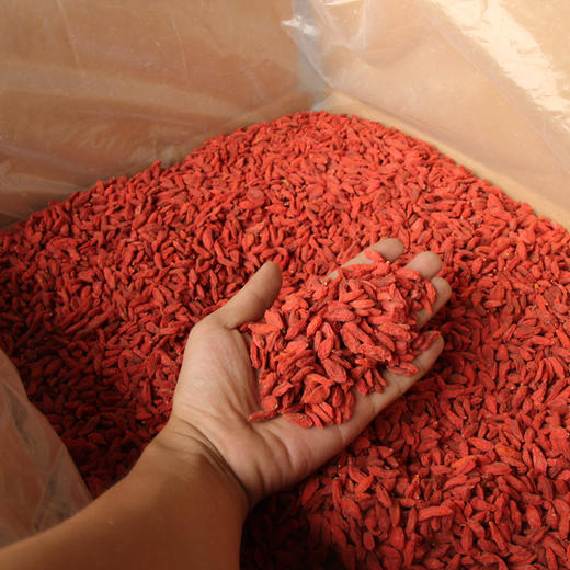 新货枸杞子500g宁夏特级免洗大粒苟杞不染色红勾杞中宁构杞子枸 商品图1