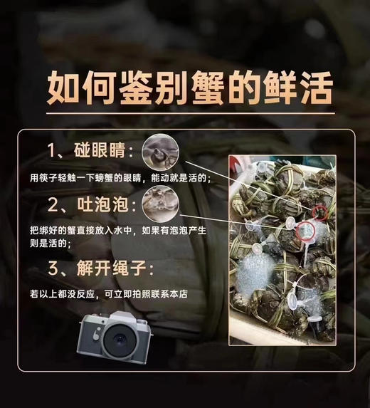 阳澄湖大闸蟹｜御姑苏（下单备注要几公几母，备注几号发货）真正的阳澄湖大闸蟹 商品图14