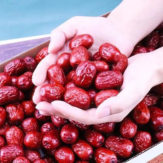 新疆若羌红枣新货500g包装零食厂家新疆特产干果红枣 商品图2