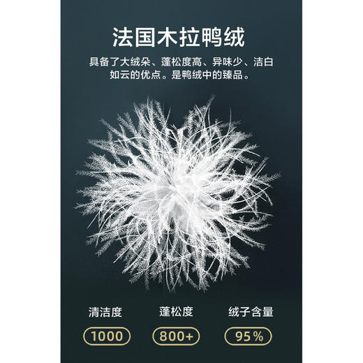 棉仓357815001-微宽松T8棉感轻薄衬衫款白鸭绒羽绒服 商品图3