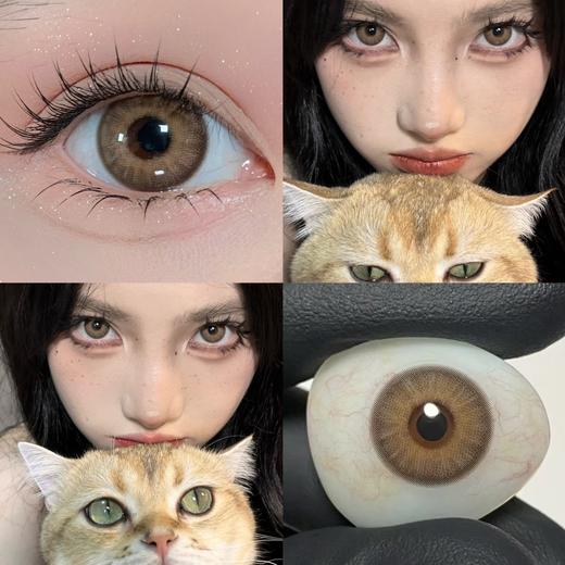 Papadox·月抛合集  68一盒  99三盒  月抛上新~三个特调颜色 不挑人的百搭精致度！一盒两片同一个度数！！韩国0-800度<一盒两片> 商品图4