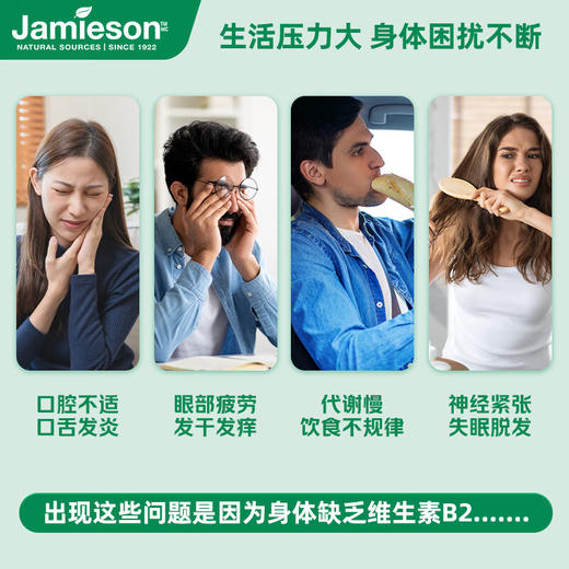 B2 | Jamieson健美生维生素B2 100mg 高含量促代谢 商品图8