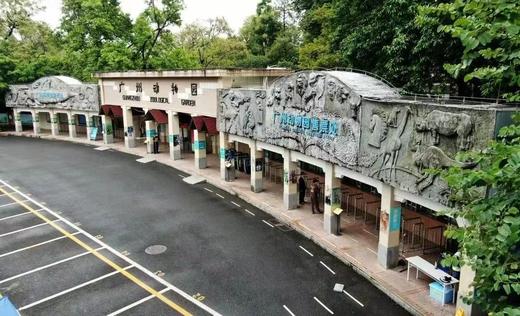 11.24公益活动包团| 我的野生动物朋友之《熊猫求生记》 商品图1