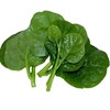 木耳菜 300g/份 商品缩略图0