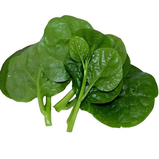 木耳菜 300g/份 商品图0