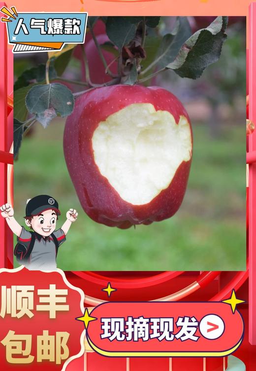 甘肃天水花牛苹果， 酸甜适口 商品图10