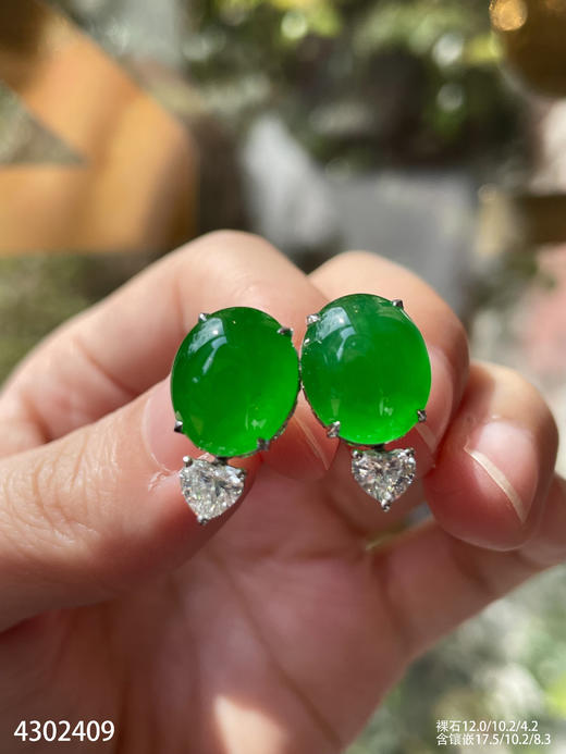 老坑玻璃种帝王绿蛋面耳钉【4302409】具体价格微信咨询 商品图5