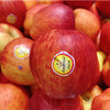新西兰进口神仙果苹果 | 脆甜多汁新鲜水果 商品缩略图0