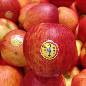 新西兰进口神仙果苹果 | 脆甜多汁新鲜水果