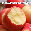 新西兰进口神仙果苹果 | 脆甜多汁新鲜水果 商品缩略图1