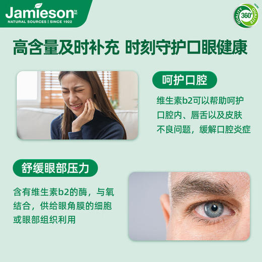 B2 | Jamieson健美生维生素B2 100mg 高含量促代谢 商品图2