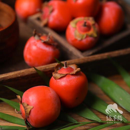 生态珍珠蜜柿 | 合作生产*Ecological pearl honey persimmon| Partner Production 商品图3