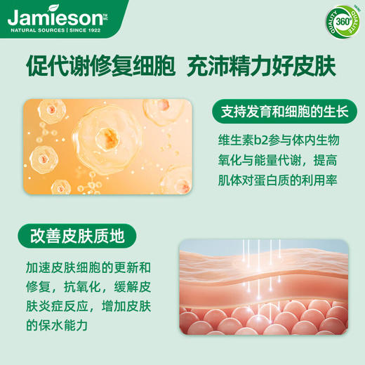 B2 | Jamieson健美生维生素B2 100mg 高含量促代谢 商品图3