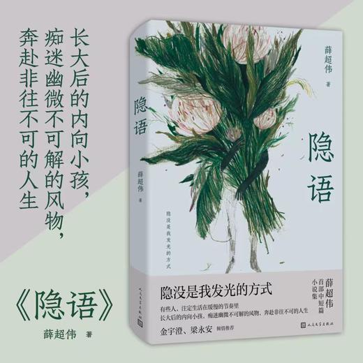 隐语 薛超伟 中短篇小说集 商品图1