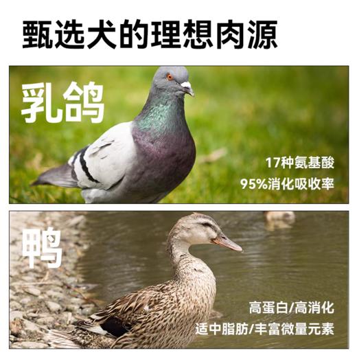 帕特 【烘焙系列】狗粮 1.8kg/5kg/袋 商品图1