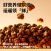 帕特 【烘焙系列】狗粮 1.8kg/5kg/袋 商品缩略图4