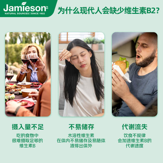 B2 | Jamieson健美生维生素B2 100mg 高含量促代谢 商品图9