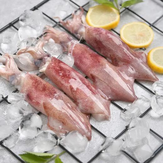 东海小笔管 商品图0