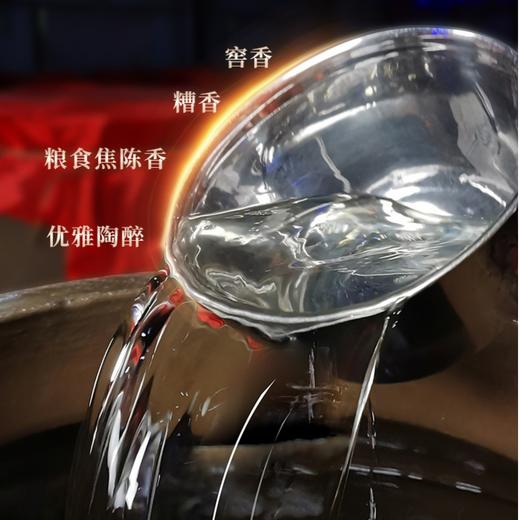JI GONG SHAN/鸡公山浓香型白酒信阳名片逸情信阳51.8度整箱6瓶 商品图2