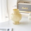 北欧现代简约ins风花瓶摆件客厅花瓶琉璃玻璃插花法式家居装饰 商品缩略图6