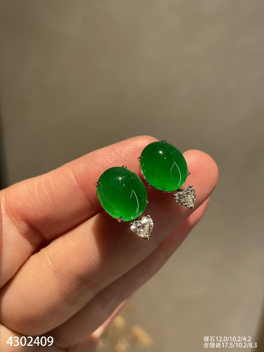 老坑玻璃种帝王绿蛋面耳钉【4302409】具体价格微信咨询 商品图0