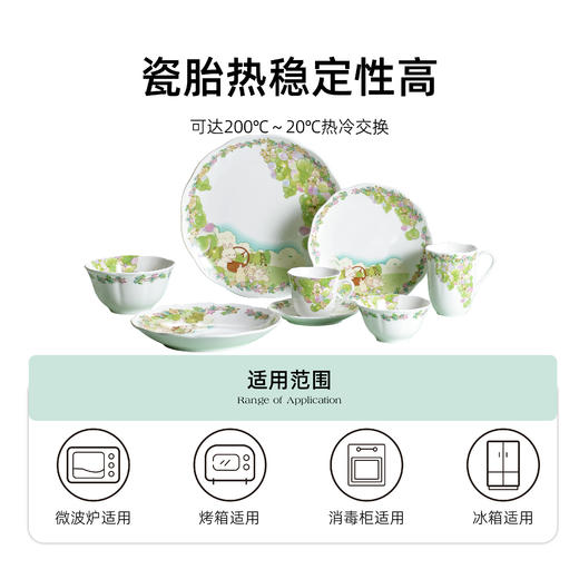 骨瓷餐具套装 | 好运葡萄系列骨瓷套装礼盒款 四季三餐 愿你常伴 商品图4