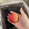 解忧小苹果（3斤装） 商品缩略图1
