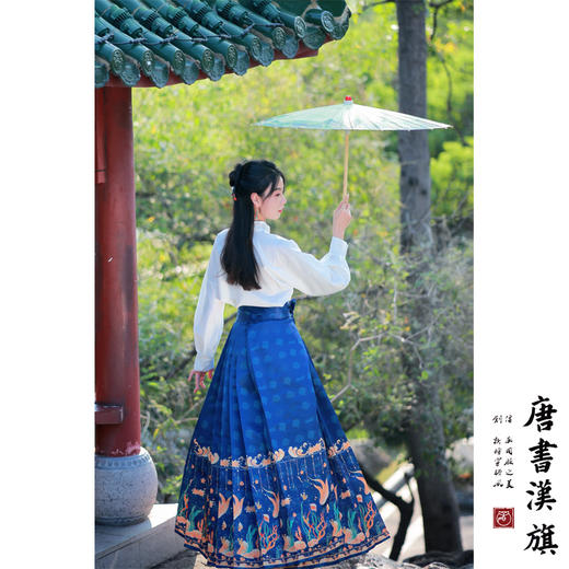 【逍遥游·苍苍】印花精美工艺新中式国风马面裙沉鱼落雁套装 商品图3