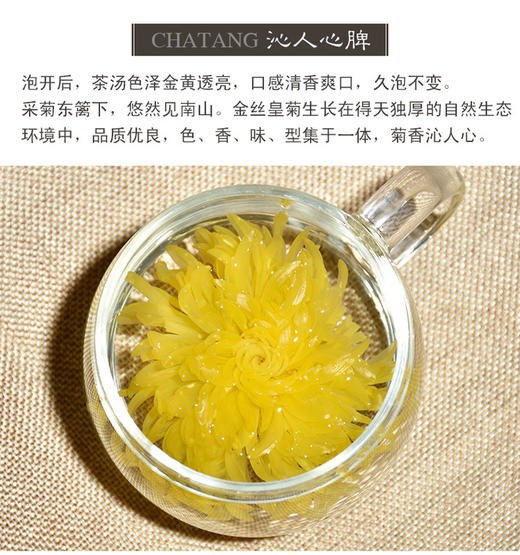 30朵金丝皇菊一朵一杯菊花茶 商品图3