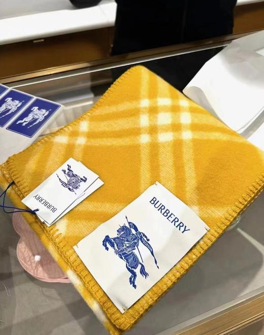 巴家 羊绒围巾 多色 商品图1