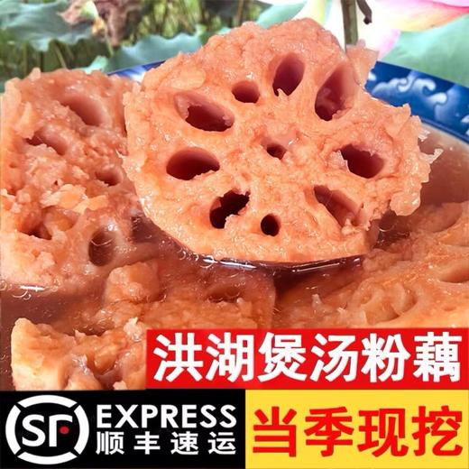 湖北洪湖粉藕    口感粉滑汤汁鲜甜 商品图6