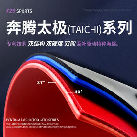 友谊729 奔腾系列 太极渐变海绵乒乓胶皮反胶粘性专业套胶