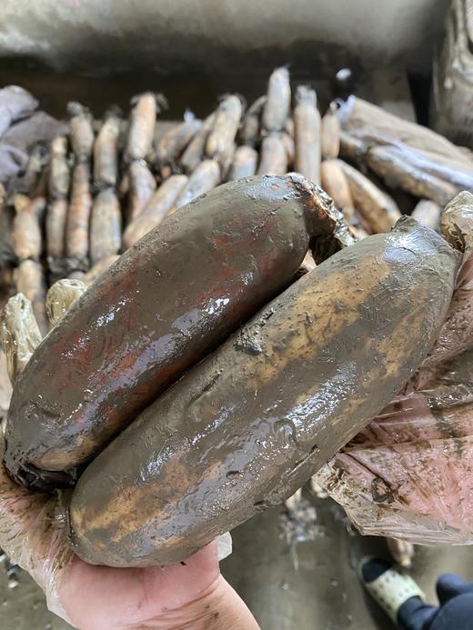 湖北洪湖粉藕    口感粉滑汤汁鲜甜 商品图3