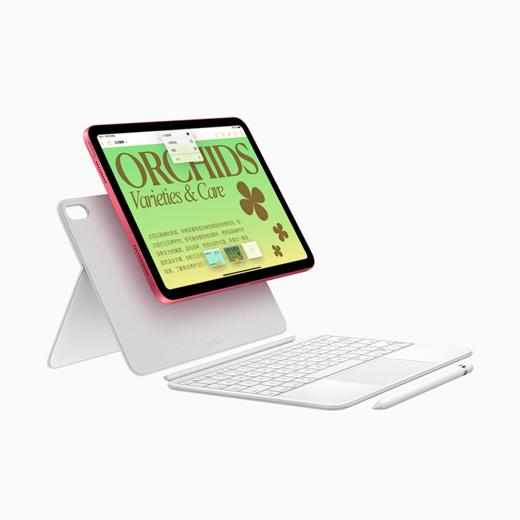 锦天城：Apple/苹果 10.9 英寸 iPad 无线局域网机型 商品图2