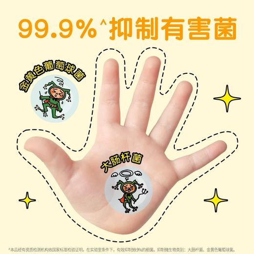 狮王趣净泡沫抑菌洗手液250ml（天然柠檬香） 商品图6