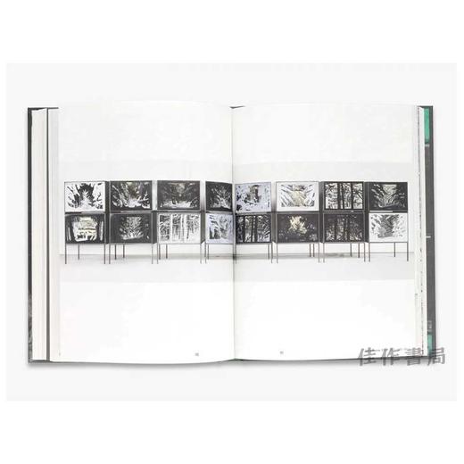 In the Beginning: Anselm Kiefer & Photography / 起初：安塞姆·基弗与摄影 商品图4