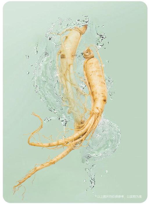 燕之屋·整根人参燕窝饮，精心研发，追求高品质，顺丰包邮 商品图2