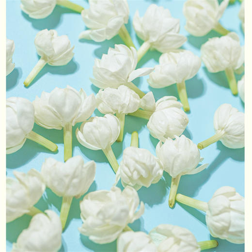 非遗好茶【谢大高】茉莉雪球 花香自然 优雅纯净 茉莉花茶 大口喝水吨吨吨 商品图5