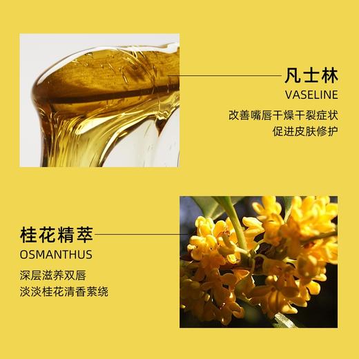 金桂变色润唇膏 把独属杭州桂花的香味带在身边 一款适合东方人的唇膏 商品图5